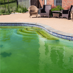 Pool maintenance in Fort Myers